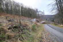 Wanderweg L4 - unterhalb Dreisbachs Seite - unterhalb Neesbachs faule Seite - östlich Obernberg - Bad Laasphe - Nord 2