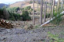 Talwärts, westlich Obernberg - oberhalb Wanderweg L4 - oberhalb &quot;Unterm Obernberg&quot; - Bad Laasphe - Nord 3