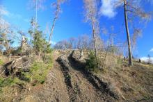 Unterm Obernberg - bergwärts - westlich - Bad Laasphe-Nord 6