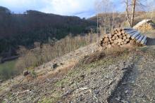 Unterm Obernberg - westlich - Kapp - Bad Laasphe-Nord 5