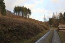 zwischen &quot;Aufm Obernberg&quot; und &quot;Unterm Obernberg&quot; - oberhalb Weisbach - S/W Obernberg