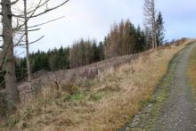 zwischen &quot;Aufm Obernberg&quot; und &quot;Unterm Obernberg&quot; - oberhalb Weisbach - S/W Obernberg