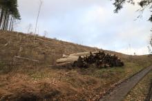 Welsbachsboden und Aufm Obernberg - S/O Obernberg - Bad Laasphe-Nord 8