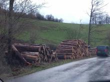 direkt an der MS Klinik