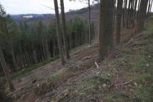 Südlich Butzeberg - Kurve zu Kurve auf Wanderweg L4 - oberhalb &quot;Butzebach&quot; - Hang abwärts