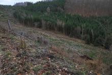 Südlich Butzeberg - Kurve zu Kurve auf Wanderweg L4 - oberhalb &quot;Butzebach&quot; - Hang abwärts