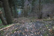 Hang abwärts - S_W Weibersberg - unterhalb Wanderweg L4