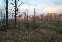 unterhalb und westlich Krautkopf - Hang parallel zum Wanderweg X15/W