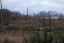 N Krautkopf - Richtung Neuntel - am Wanderweg X15/W