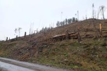 Neesbach - oberhalb &quot;Im untersten Neesbach&quot;