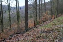 Schutzgebiet = FFH, NSG, Biotop §30, Landschaftsschutzgebiet - nahe &quot;Im Grund unterm Hülshofe&quot;