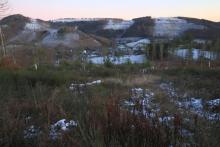 Aufforstung mit Nadelbäumen vor mehreren Jahren - &quot;Vorm Hainrot&quot; - unterhalb Wanderweg A1