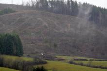 Aufforstung mit Nadelbäumen vor mehreren Jahren - &quot;Vorm Hainrot&quot; - unterhalb Wanderweg A1