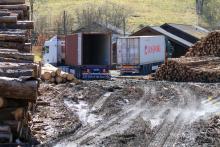 Holzsammelstelle Puderbach beim Sportheim - Gillswiese - nach Wiederherstellung