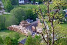 Holzsammelstelle Puderbach beim Sportheim - Gillswiese - nach Wiederherstellung