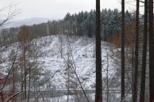Lehrberg - östliche Flanke - oberhalb Wanderweg L5/L6/L8