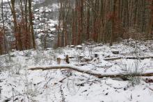 Lehrberg - S/W Flanke