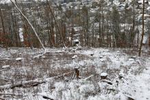 Lehrberg - S/W Flanke