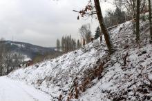 östliche Bergflanke &quot;Fang&quot; (466 m) - Bad Laasphe-Nord 36