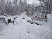 Tiefe mit Wasser gefüllte Farben machen diesen Wanderweg nahezu unpassierbar.