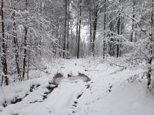 Tiefe mit Wasser gefüllte Farben machen diesen Wanderweg nahezu unpassierbar.