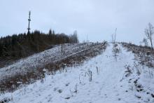 Buhl-Berg - N/W-Flanke