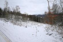 Waldfläche neben &quot;Ziegenbach&quot; - Bad Laasphe-Süd 6 - unterhalb &quot;Schafsberg&quot; östlich