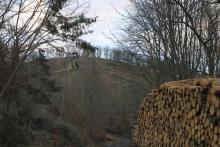 West/Süd Hang &quot;Fang&quot;- gegenüber &quot;Küppelchen&quot; - Bad Laasphe-Nord 39