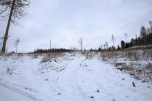 Buhlsboden - östliche Flanke vom Buhl-Berg - oberhalb Wanderweg A4/A5