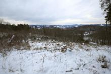 Unterhalb Hugo-Kracht-Hütte -  am Wanderweg A5 / L1 / L - im Kurvenbereich