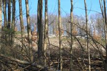 West/Süd Hang &quot;Fang&quot;- gegenüber &quot;Küppelchen&quot; - Bad Laasphe-Nord 39