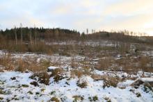 &quot;Hinter dem gebrannten Kopf&quot; - am Wanderweg A5 / L1 / L - Sichtlinie bis zum Baumstabel