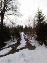 Ein Bach als Fahrspur für die Erntemaschinen