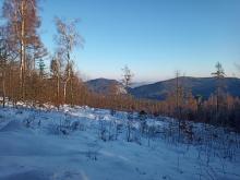 Wieder ein Kahlschlag