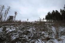 vom Gipfel &quot;Gebrannte Kopf&quot; in S/W-Richtung bis zur Wildwiese mit Hochsitz und dem Waldweg