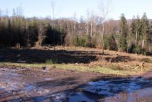 Kahlschlag Birkeacker - Weg zum Hülshof - Wen zum Harfeld