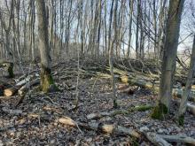Istrup Gemeinde Brakel/Höxter ab Heimkehrerkapelle