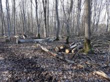 Istrup Gemeinde Brakel/Höxter ab Heimkehrerkapelle