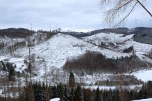 Kirschköpfe - Wanderweg L1 im S/O vorbei