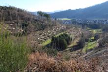 Niederlaasphe - oberhalb vom Friedhof - Grund &quot;Bornacker&quot;