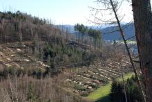 Niederlaasphe - oberhalb vom Friedhof - Grund &quot;Bornacker&quot;