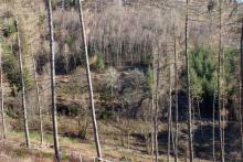 angrenzend von &quot;Im Grund&quot; - Niederlaasphe - unterhalb &quot;Faule Seite&quot;