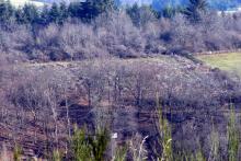 angrenzend &quot;Peterschlenke&quot; in Puderbach - westlich davon