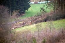 an der L903 Puderbach - Richstein - gegenüber &quot;In der alten Wiese&quot;