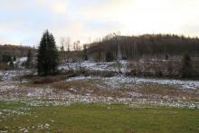 Alte Mülldeponie - oberhalb &quot;In der Richtel&quot; - unterhalb &quot;Kirschboden&quot; - von &quot;Kirschköpfe&quot; bis &quot;Sellenberg&quot;