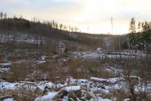 Alte Mülldeponie - oberhalb &quot;In der Richtel&quot; - unterhalb &quot;Kirschboden&quot; - von &quot;Kirschköpfe&quot; bis &quot;Sellenberg&quot;