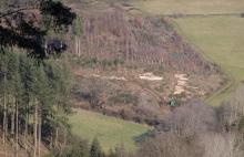 An der L903 Puderbach  Richstein - gegenüber &quot;Die oberste Triftwiese&quot;