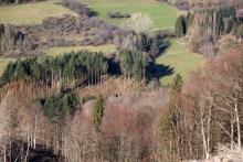 an der L903 Puderbach - Richstein - gegenüber &quot;In der alten Wiese&quot;