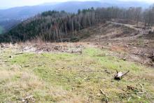 zum Entenberg auf Wanderweg A4, L = Lahnwanderweg, L1