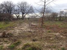 Kahlschlag/Bodenzerstörung